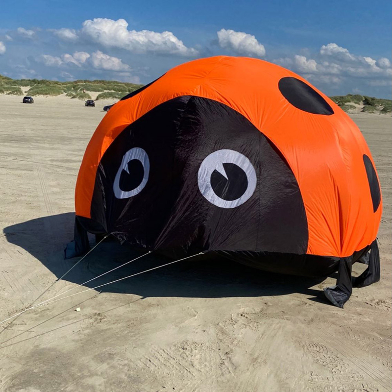 Ladybird kite soft kites for k – Kite Easy Fly Kids Bewertung und Preis