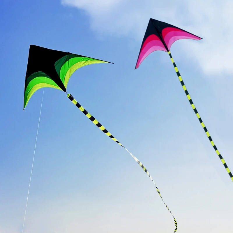 Adults Easy to Fly Large Huge  – Kite Easy Fly Kids Bewertung und Preis