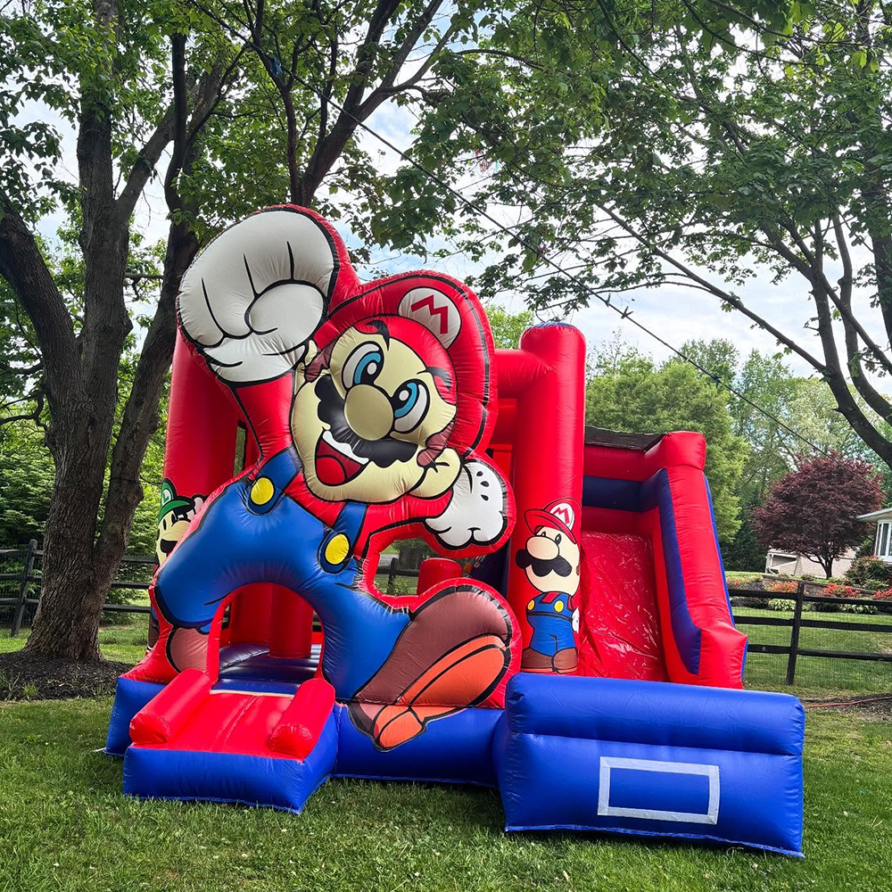 Custom Inflatable Bouncer Kids – Kids Outdoor Jumping Castle Bewertung und Preis