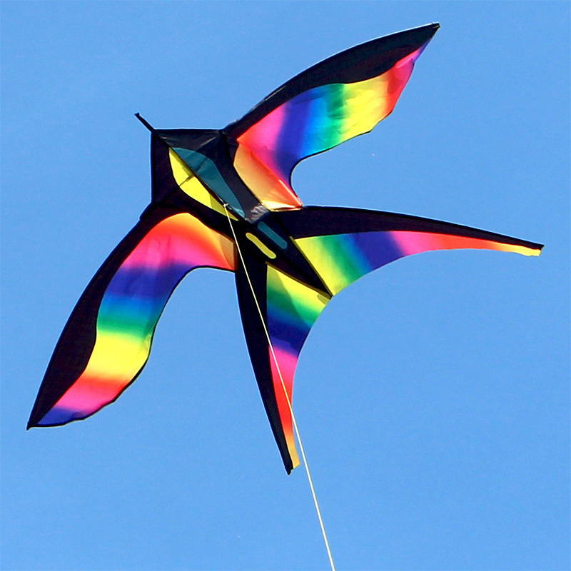 1.7m Easy to Fly Colorful Rain – Kite Easy Fly Kids Bewertung und Preis
