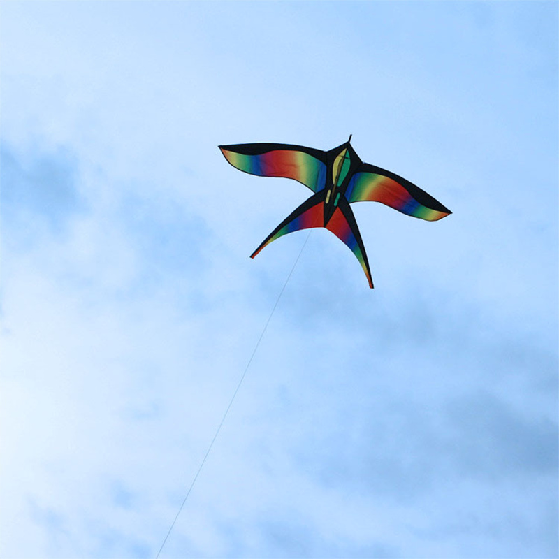 1.7m Easy to Fly Colorful Rain – Kite Easy Fly Kids Bewertung und Preis