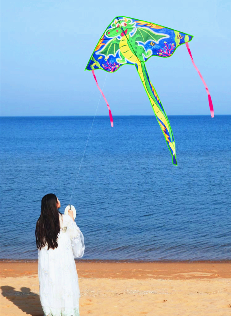 New horse kite flying children – Kite Easy Fly Kids Bewertung und Preis