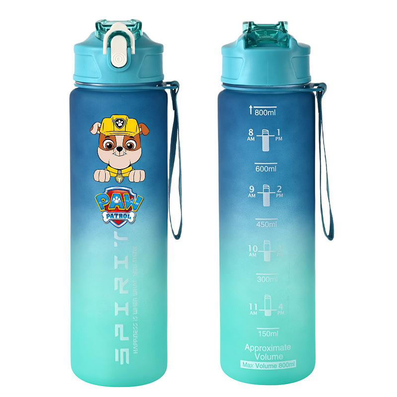 800ml PAW Patrol Sports Water  – Kids Outdoor Kitchen Accessories Bewertung und Preis