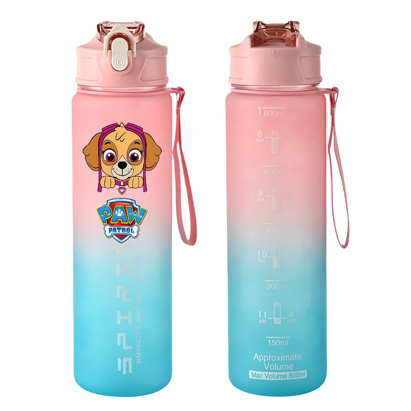 800ml PAW Patrol Sports Water  – Kids Outdoor Kitchen Accessories Bewertung und Preis