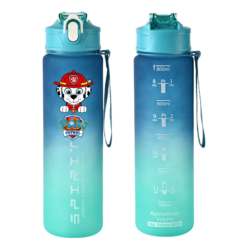 800ml PAW Patrol Sports Water  – Kids Outdoor Kitchen Accessories Bewertung und Preis