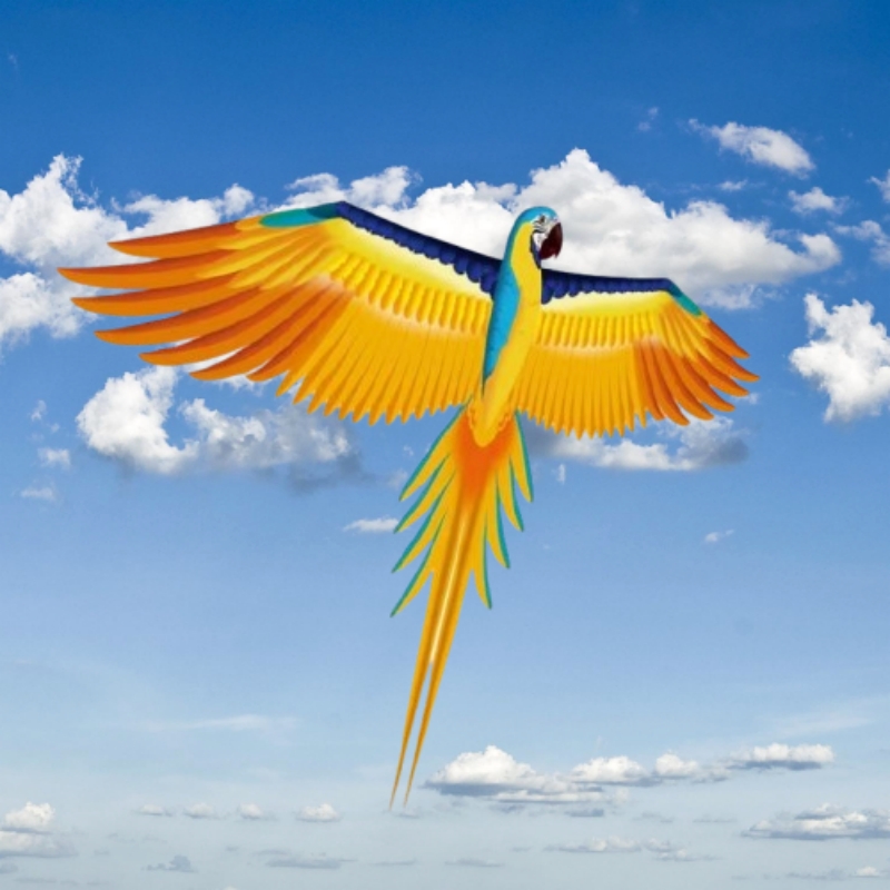 Free shipping parrot kites fly – Kite Easy Fly Kids Bewertung und Preis