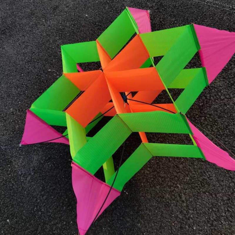 Travel-friendly 3D Plum Blosso – Kite Easy Fly Kids Bewertung und Preis